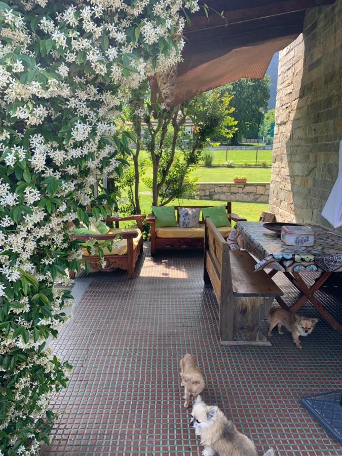 Il Tempo Del Sogno Con Cani E Gatti Pet&breakfast *