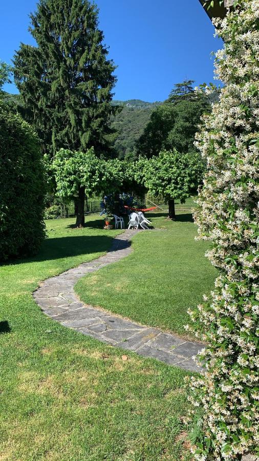 Il Tempo Del Sogno Con Cani E Gatti Pet&breakfast Baveno
