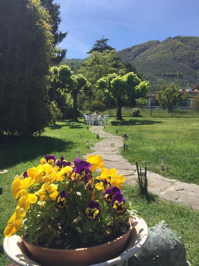 Il Tempo Del Sogno Con Cani E Gatti Pet&breakfast Baveno