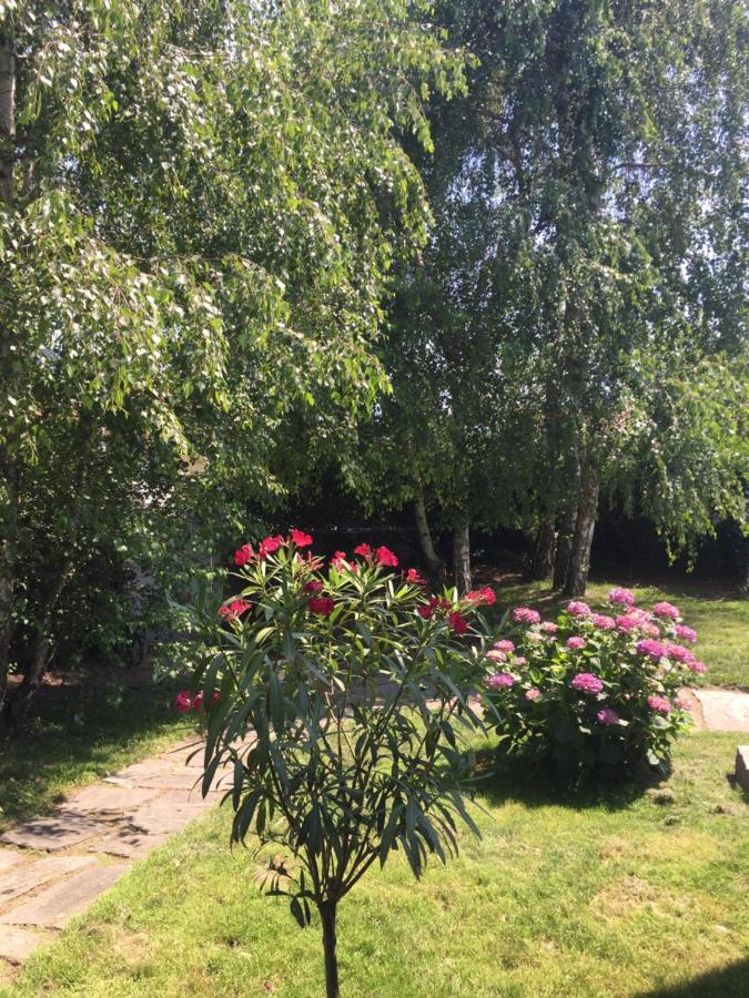 Il Tempo Del Sogno Con Cani E Gatti Pet&breakfast * Baveno