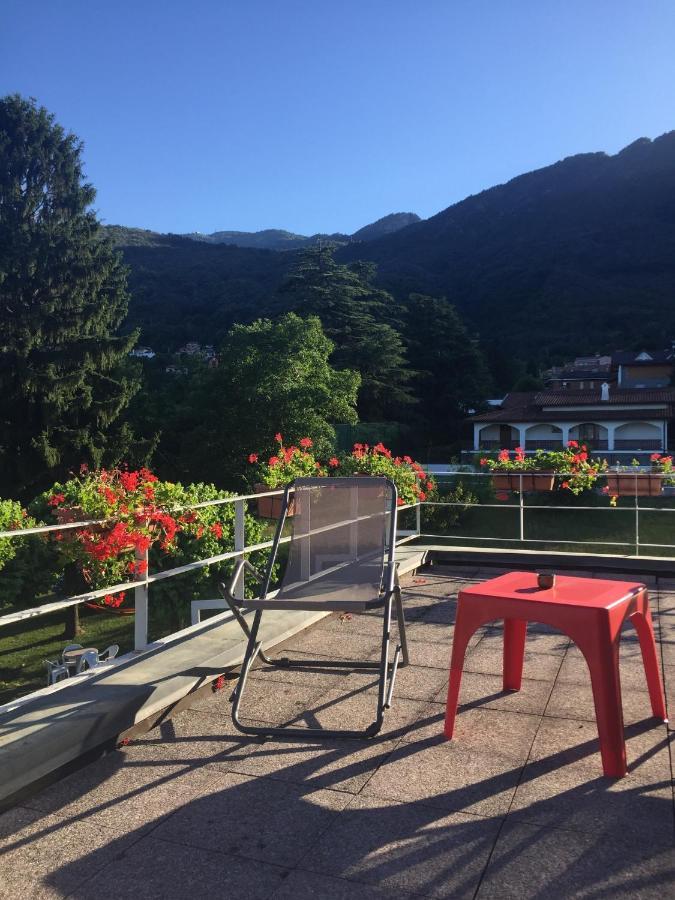 Il Tempo Del Sogno Con Cani E Gatti Pet&breakfast