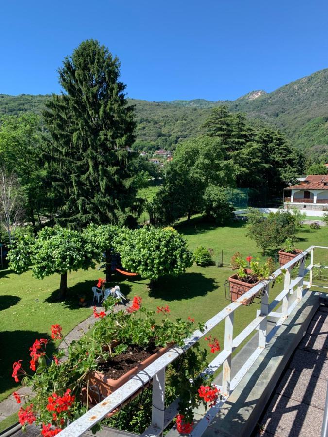 Il Tempo Del Sogno Con Cani E Gatti Pet&breakfast * Baveno